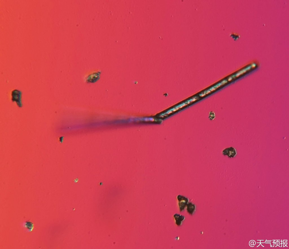 �Ŵ�1000��������